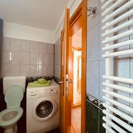 Wooden House Temeşvar